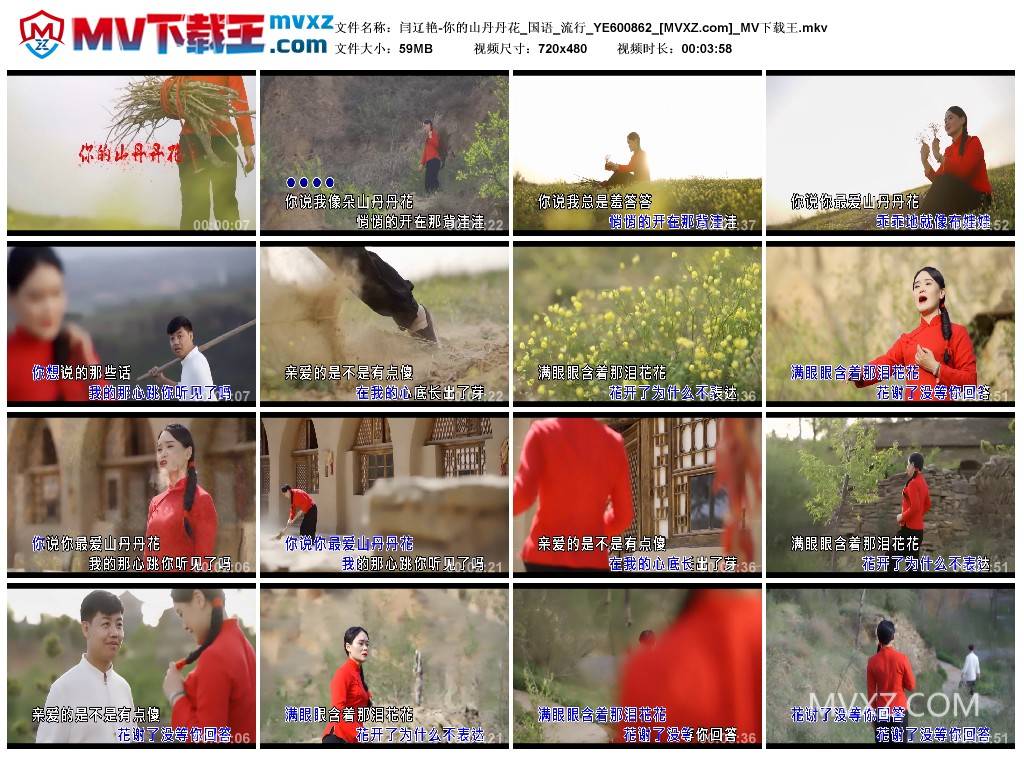 闫辽艳-你的山丹丹花_国语_流行_YE600862
